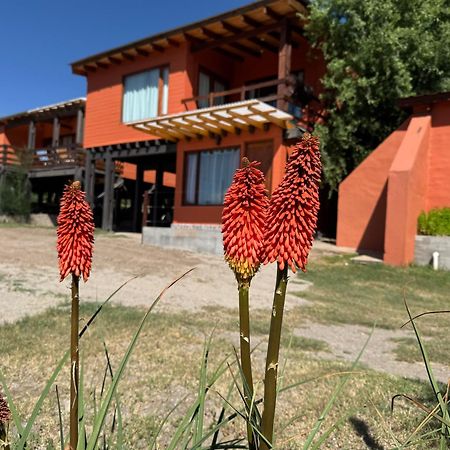 Cabana El Churqui Tafí del Valle Extérieur photo