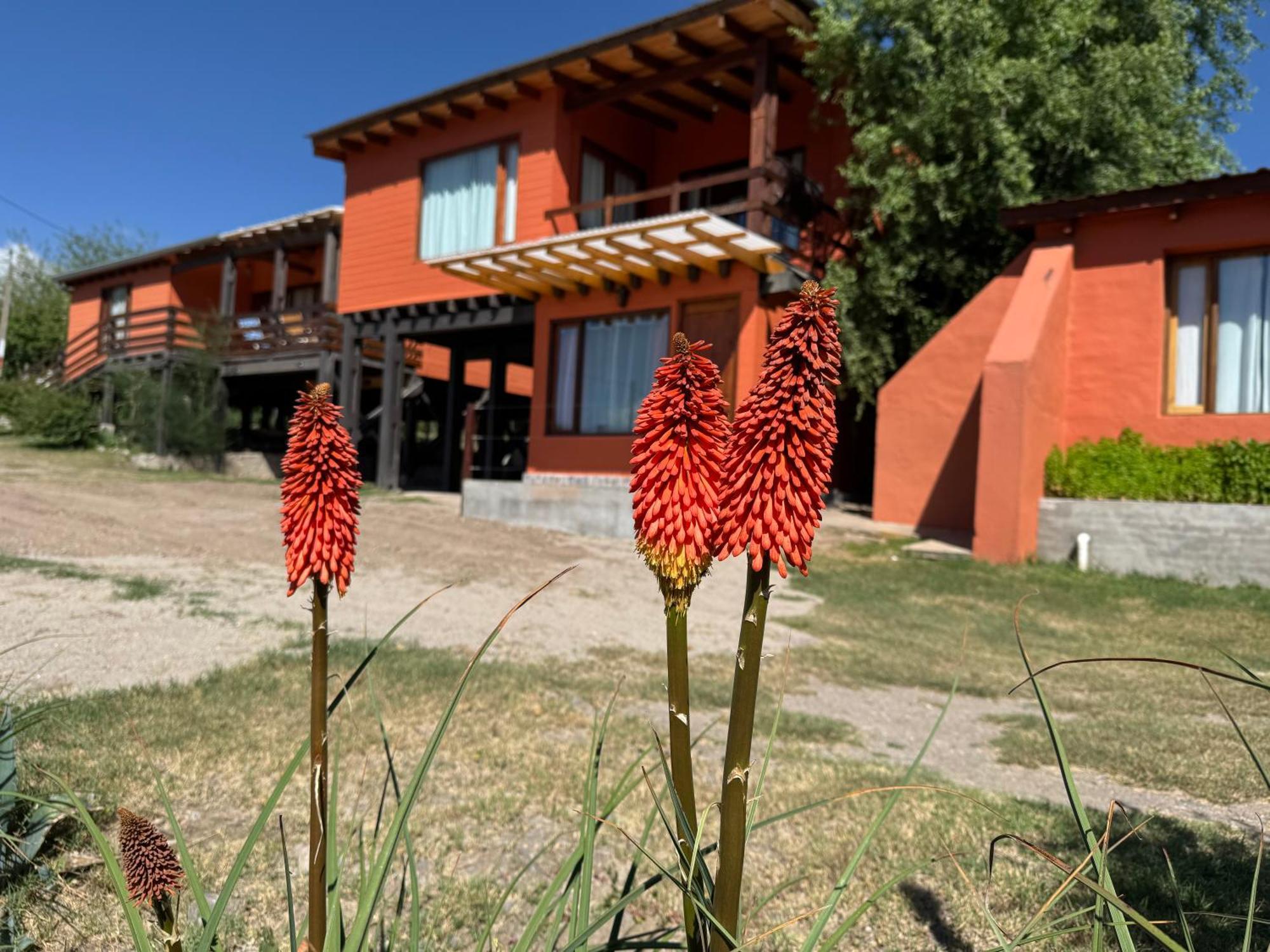 Cabana El Churqui Tafí del Valle Extérieur photo